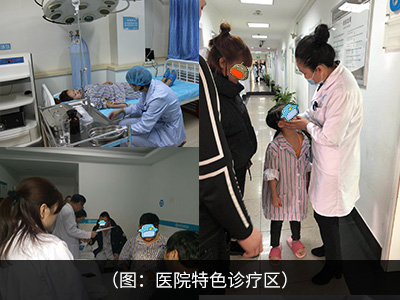 11-15122Q61K33B.jpg